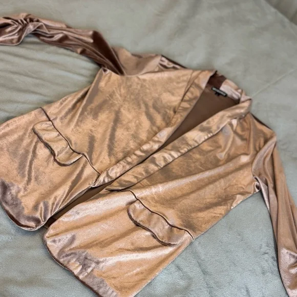 Elegant Champagne Velour Blazer | L | - Picture 10 of 10